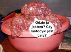 6dbdf8ea-1993-40bb-ac38-35bbbc699ef1