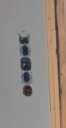 f1c93dc2-a269-44fa-b57e-2808830d73f9