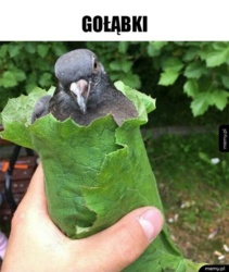 8a1c9e22-b0d5-4067-843e-0d0230134dcd