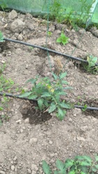 6449e815-0b7c-4a08-b1cc-094f45f980d7