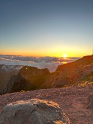 bc8a1b70-1b37-4ad8-969e-5661b91fc0b3