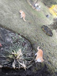 aead072b-7c2e-41a5-9dcd-6cfd271ab725