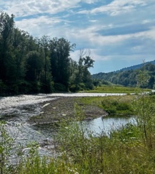 19db087b-e986-4e35-91b4-41c682d588f6