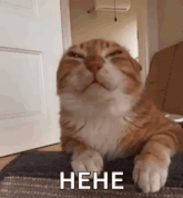 df109b08-874a-457e-b8ba-c76e1b6bbc68