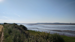 352e0d87-beb9-4b05-9afc-edd1368ef176