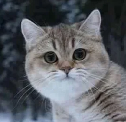 423338be-f0e3-400d-a769-163877663c7e