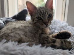 fcd17857-4792-4837-8cb2-ba1ad1dbf09a