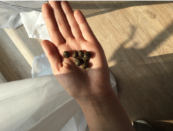 b5bc120a-68bc-480f-af64-9ee389c87b0e