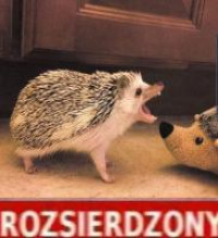 74370048-a10c-4354-a1c0-88093430d432