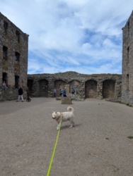 5dd913c6-d253-44c6-815e-3d5da56a98c5