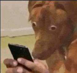 e6cd0721-15dc-4f90-988c-4b68bbd78b99