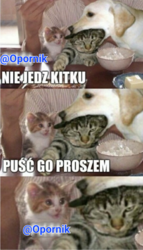 3d9b0272-f41c-4ab5-80a0-6fb41d2416b6