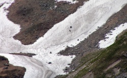 5ebc1ff7-585e-45a5-8a6a-157f346ba74f