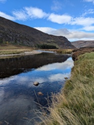 2fd51c41-b8cf-4e07-9efb-6b59eafda159