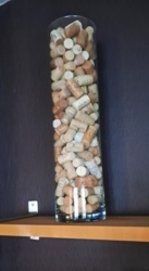 d8a6e37f-49e0-4ae8-9fd5-391ea5077006