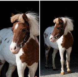 99b9a125-de99-43f6-a761-3c180d88e54d