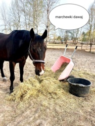 407d6e7e-8c18-4d6d-b40f-75e021f3d80a