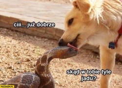 e760b860-a0c5-4935-9ea5-cf3c723667a6