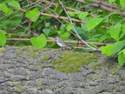 b15df779-0ef8-4ebb-9917-58283aa1e73e