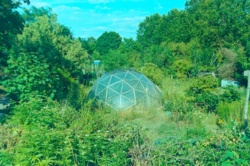 c1fc0862-ab35-4e82-b577-e3fc2700b249