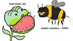 c1ec6c28-bcb4-4554-89f5-1e5729d2b70f