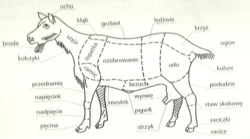 0f7d174f-ada5-4abf-8f5a-31307ade8107