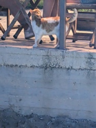 cec344dc-dfe0-40c5-8d12-433a3e0cc2f2