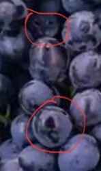 6ea96a22-2e7d-4904-888a-4ac4cf827a6a