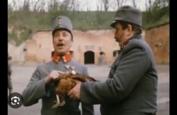 28ff8aee-0313-410a-a9af-ebe8dd9b345d