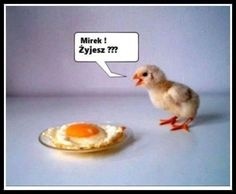 d79ae499-912b-4747-8f9d-d04e0ad11cfa