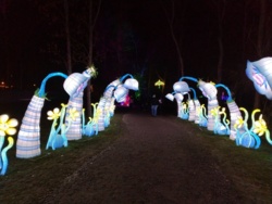 c7bd8ab4-031e-42f6-8937-5887876e7dcd