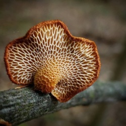 381a1e3c-f360-4557-b5f6-d025061776c4