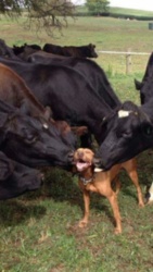 a9beb4f6-11bd-4345-ad5b-c3a266354903