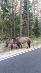 8aaa8bda-1fed-40da-b80c-6fee15e9eb5f