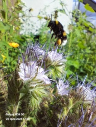 bf18a5c2-b5dd-4d43-93e8-ddc579a9f4be