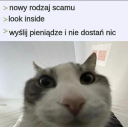 002b5174-4ac8-4d41-baa6-734358415f16