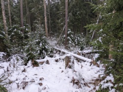 9ee3ec95-92a3-48bb-b0d6-f6b9e0b780ac