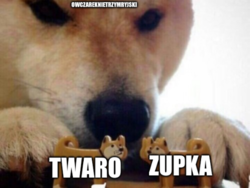 d92e024e-cbcd-43fc-81e8-21a4a14eec6a