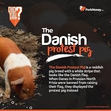 d9026a46-e2ef-44d0-a91e-d921aced5eee