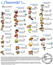 fc08f94a-1e4f-468f-a08d-bcb1e27d749d