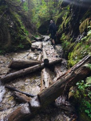 5c7a4082-fe7e-4b3e-b648-6880c8f91818