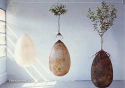 83cf093a-ff75-4b3c-b9c2-beea0641909f