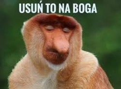 813cc0d3-a807-48c7-965f-6ba86fbdd888