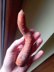 9eae63e7-5fa0-4649-a2be-365688d636b2