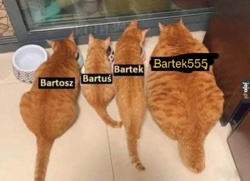 f5e4c0e5-367c-448e-a6d8-6e1c19e49c48