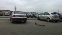 9fd7f1f4-b54e-4dab-89b1-aa135cc9180e