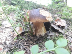 9d7bd258-eb0a-4c80-a2ed-179c099ec373