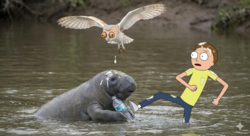 74878f64-a8a6-4ba0-b79c-266d3633b98b