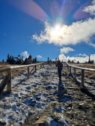 cd9be85a-4e1f-43ca-a1db-450444520c71