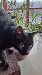 657d6816-cebd-4aa9-b17f-a0367ff052f4